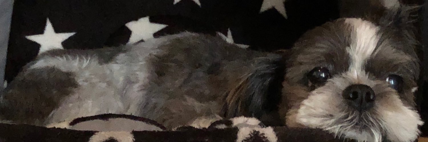 pgzmaika's profile banner image
