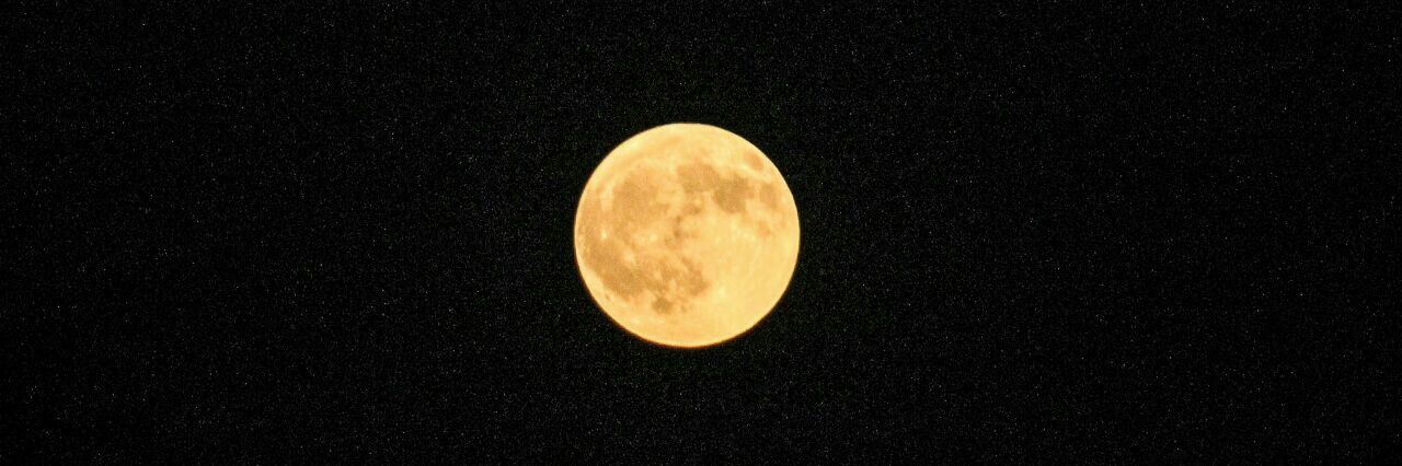 OscarMoonlight's profile banner image