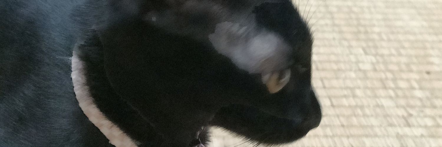 peyo42's profile banner image