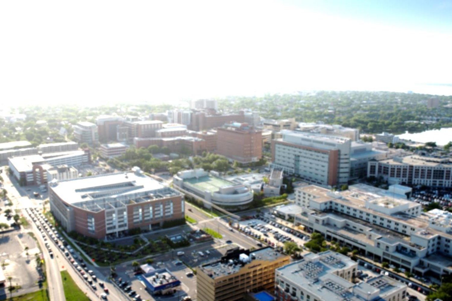MUSC Sustainability banner