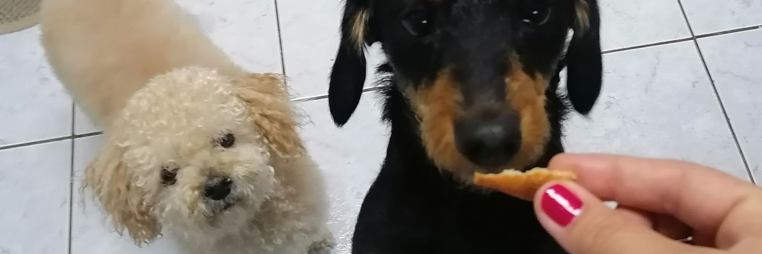 Galepalma's profile banner image