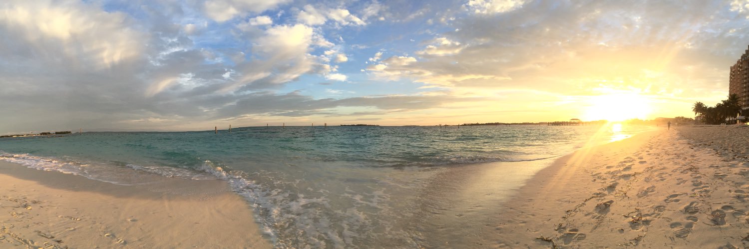 Lainie Kessler banner