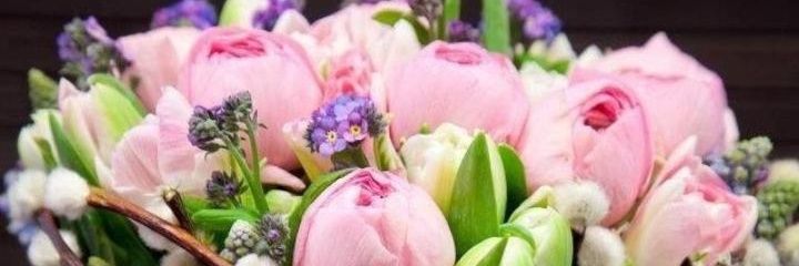 BETYMEDINAJM's profile banner image