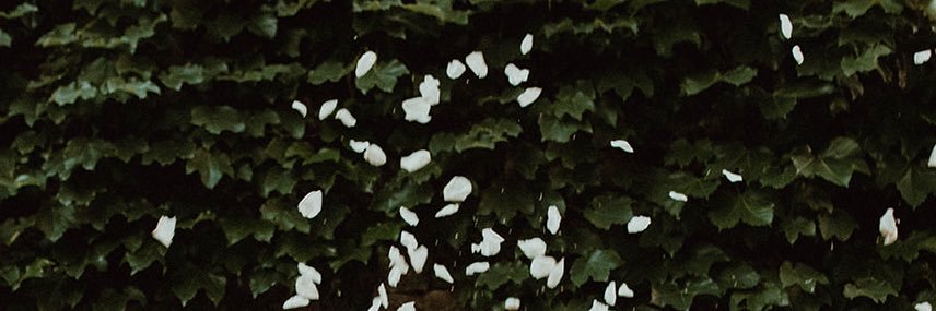 natureofhers's profile banner image