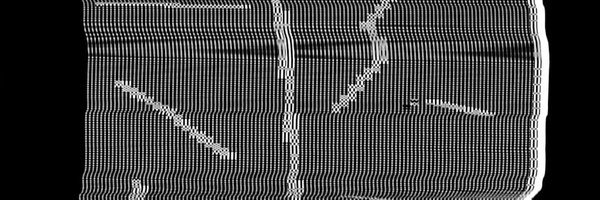 feathersflys Profile Banner