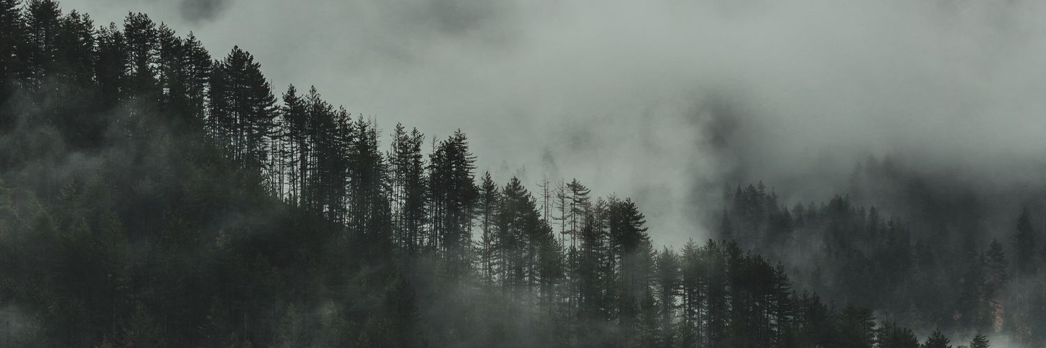 calebherring14's profile banner image