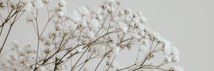AmazingJuliann's profile banner image
