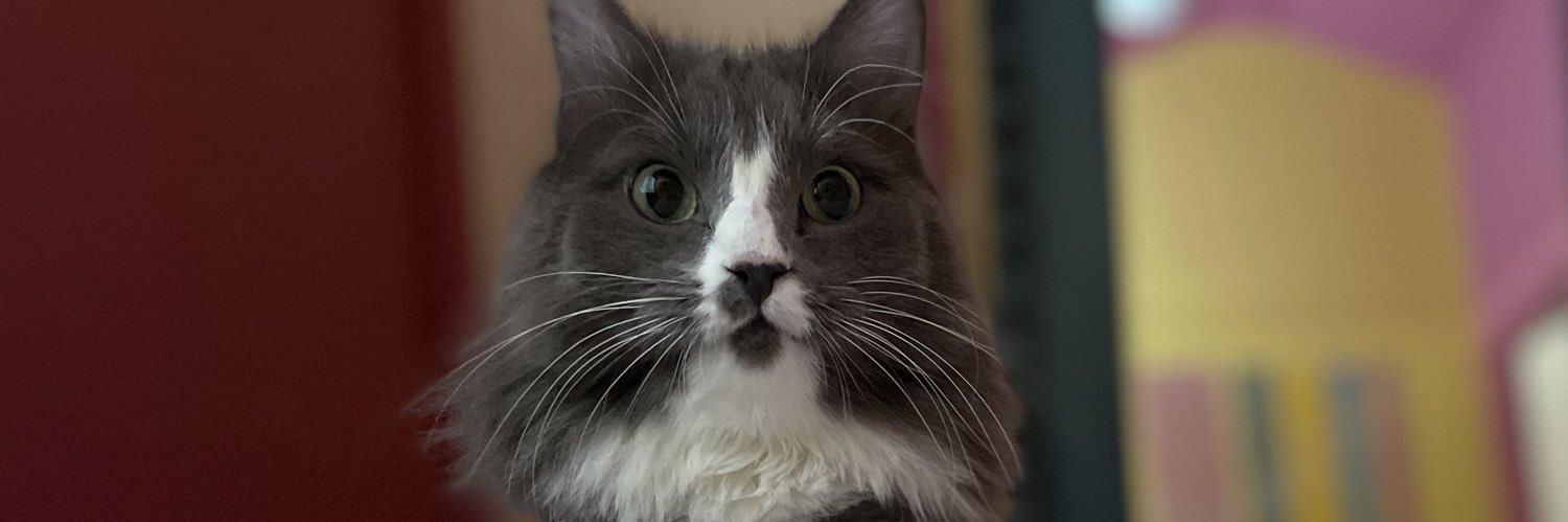 anndycaandy's profile banner image