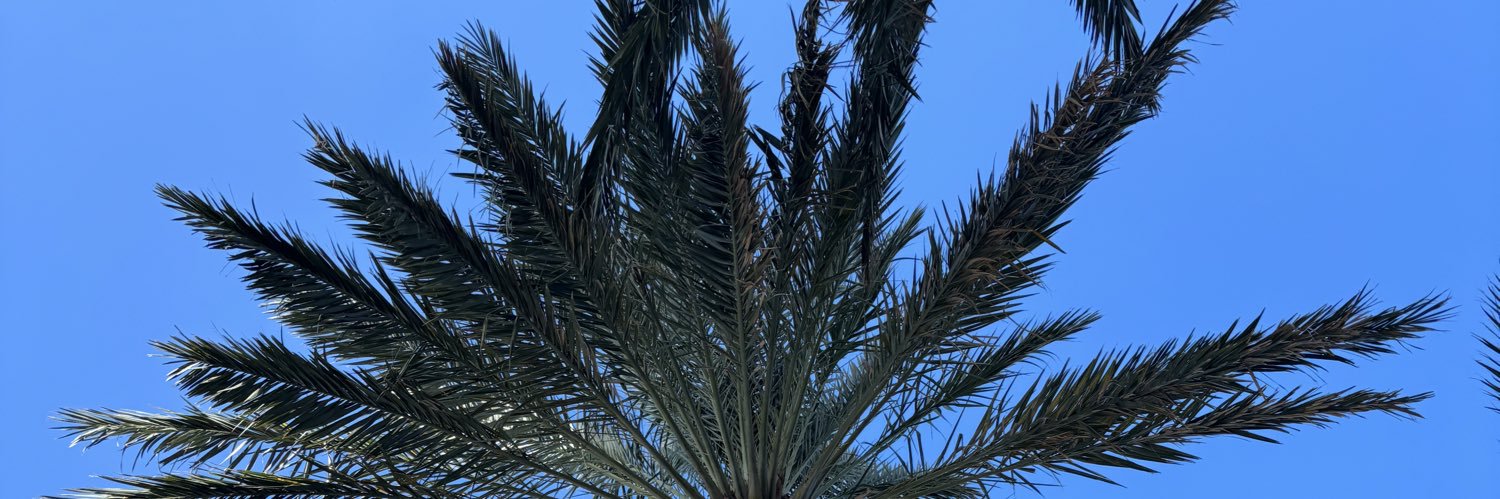 0xhalfy's profile banner image
