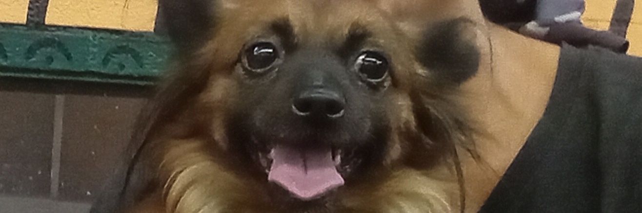 terbear_'s profile banner image