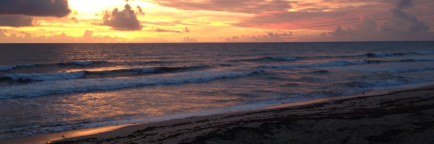 SurfTaylor's profile banner image
