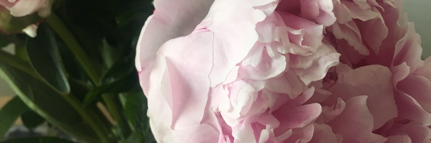 melissamaryluck's profile banner image
