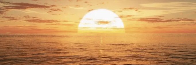 rin_rin1979's profile banner image