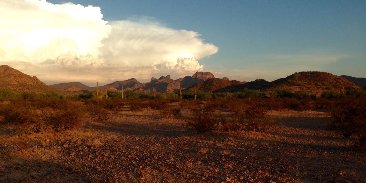 Judy Bourg, SSND banner