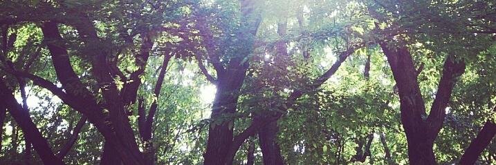 mie_'s profile banner image
