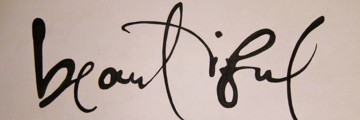 nvjones85's profile banner image