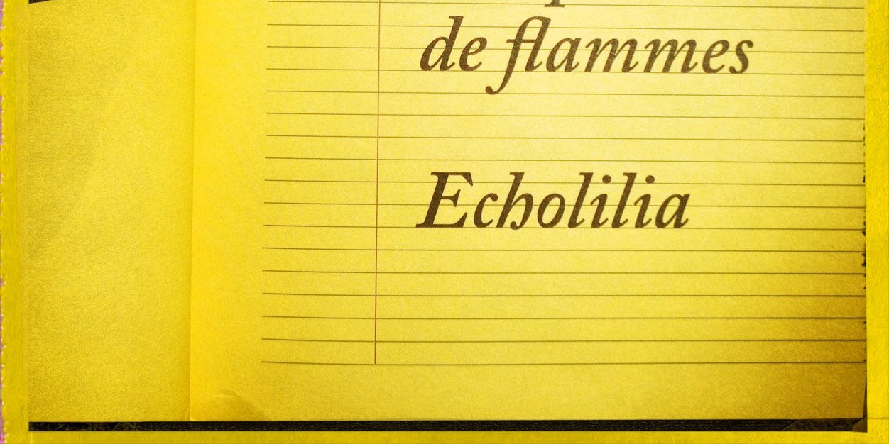 timothy archibald banner