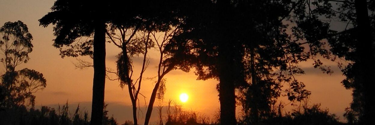 Samoina Codes React-JS banner