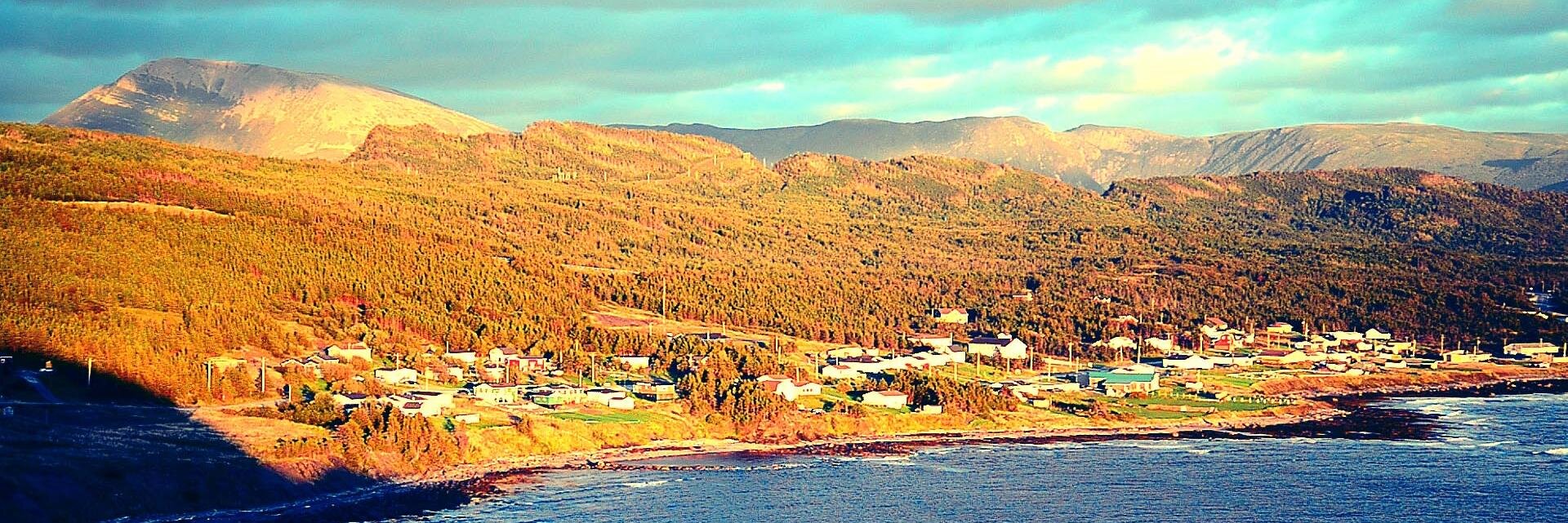 theoceanview's profile banner image
