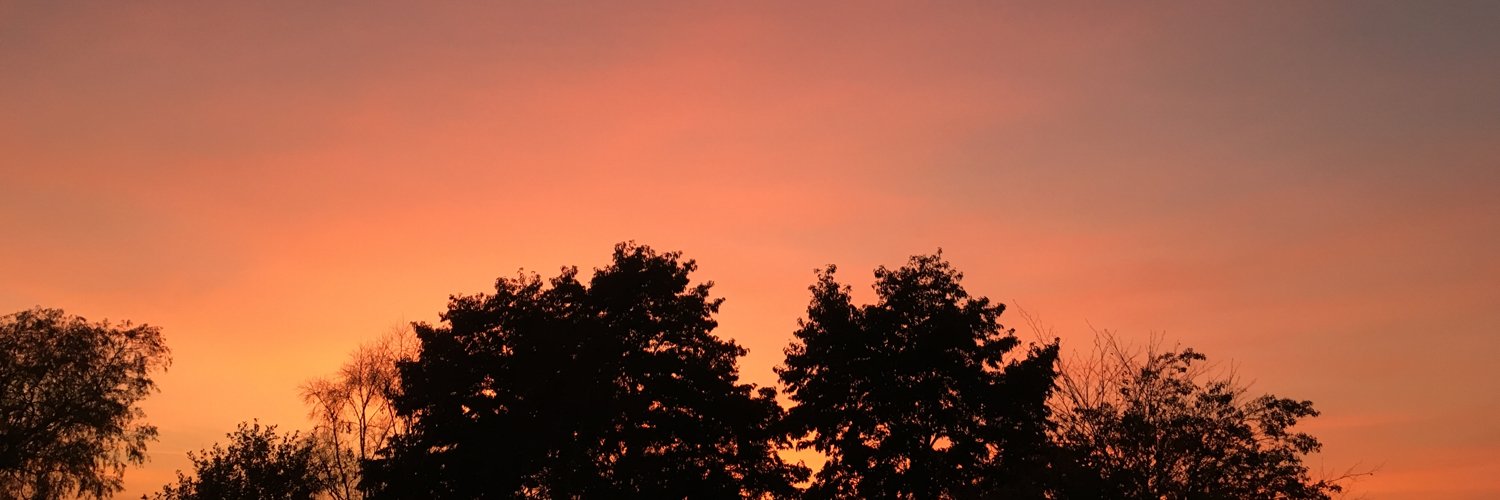 nubels's profile banner image