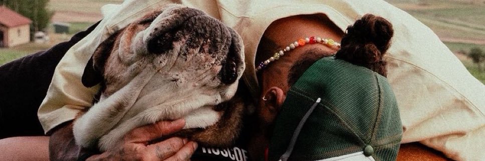 Lewis Hamilton banner