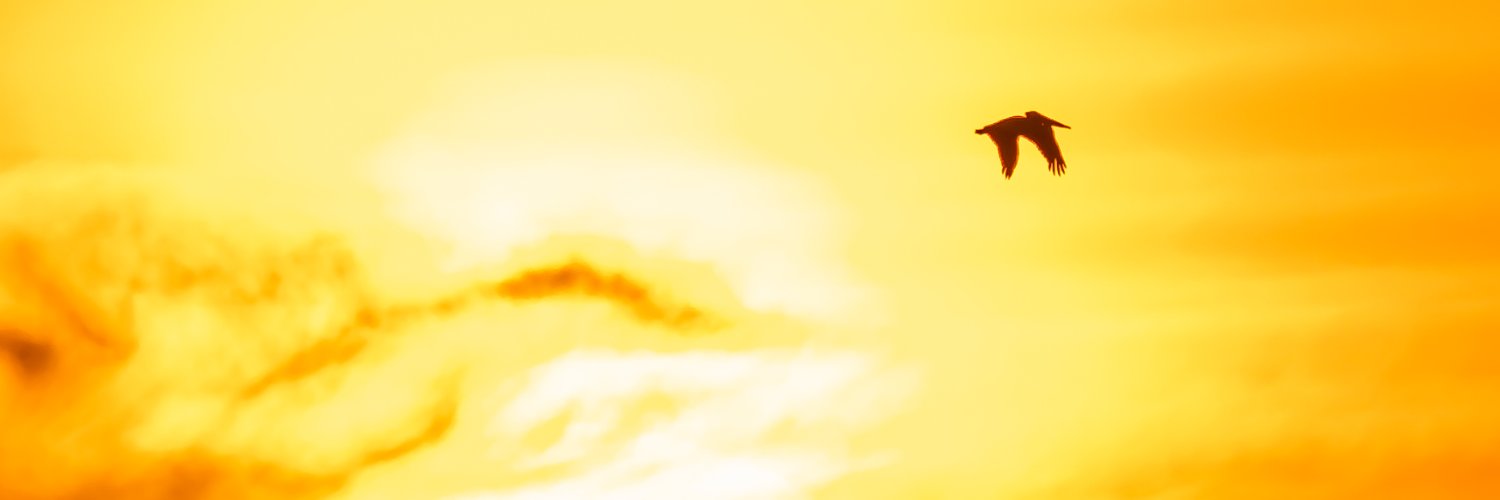 Marvin Smith Photography banner