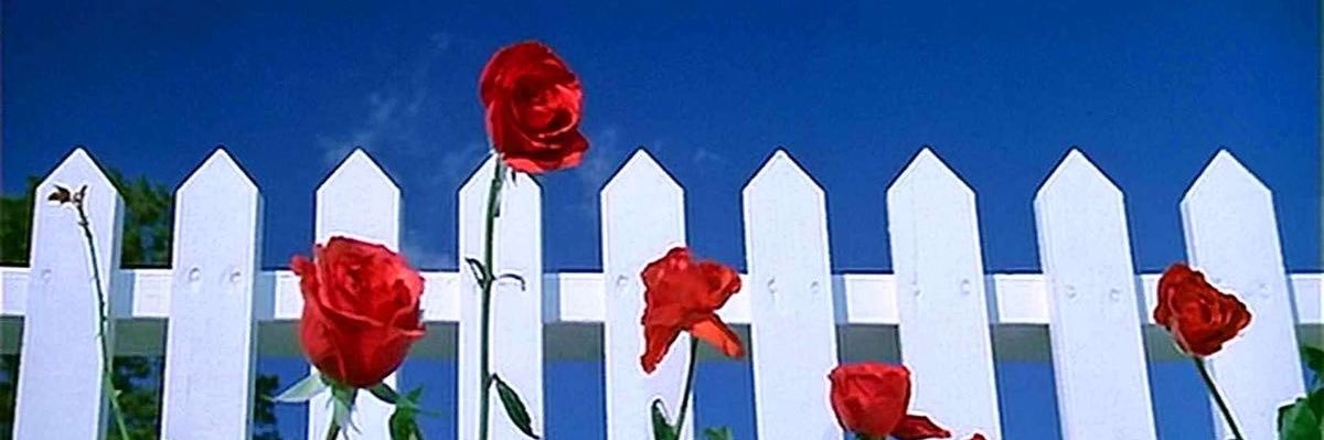 ___adorn's profile banner image