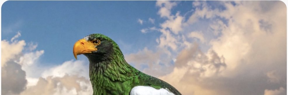 UtdPlexus's profile banner image