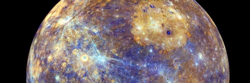 OttolineMorrell🌻 banner