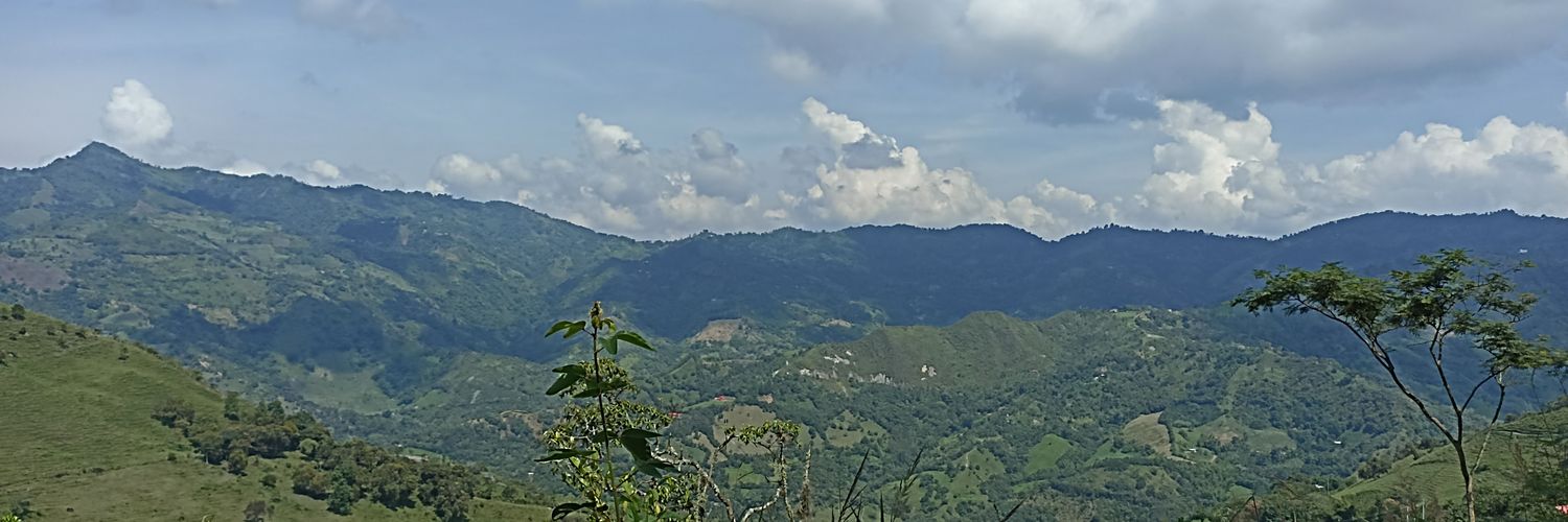 MpaulaRe's profile banner image