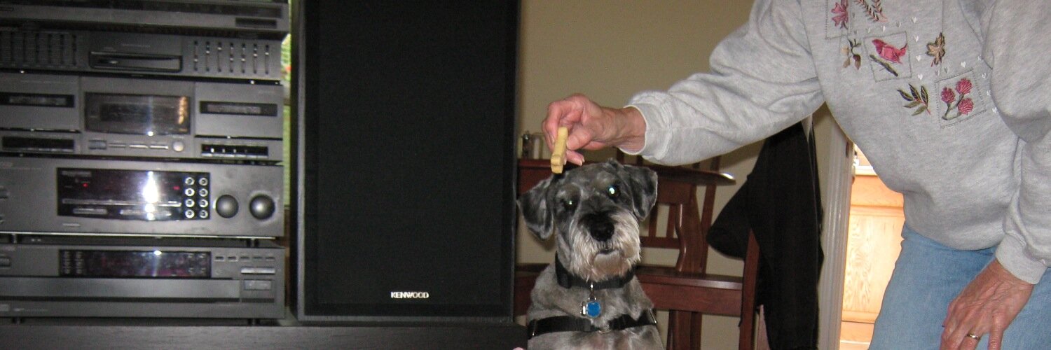 SHIRLEY LOST HER SHIT banner