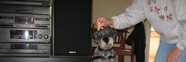 AustinSchnauzer Profile Banner