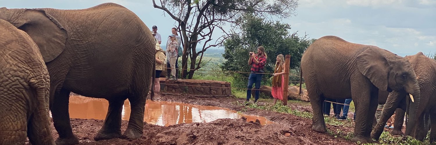 David Lindsell banner