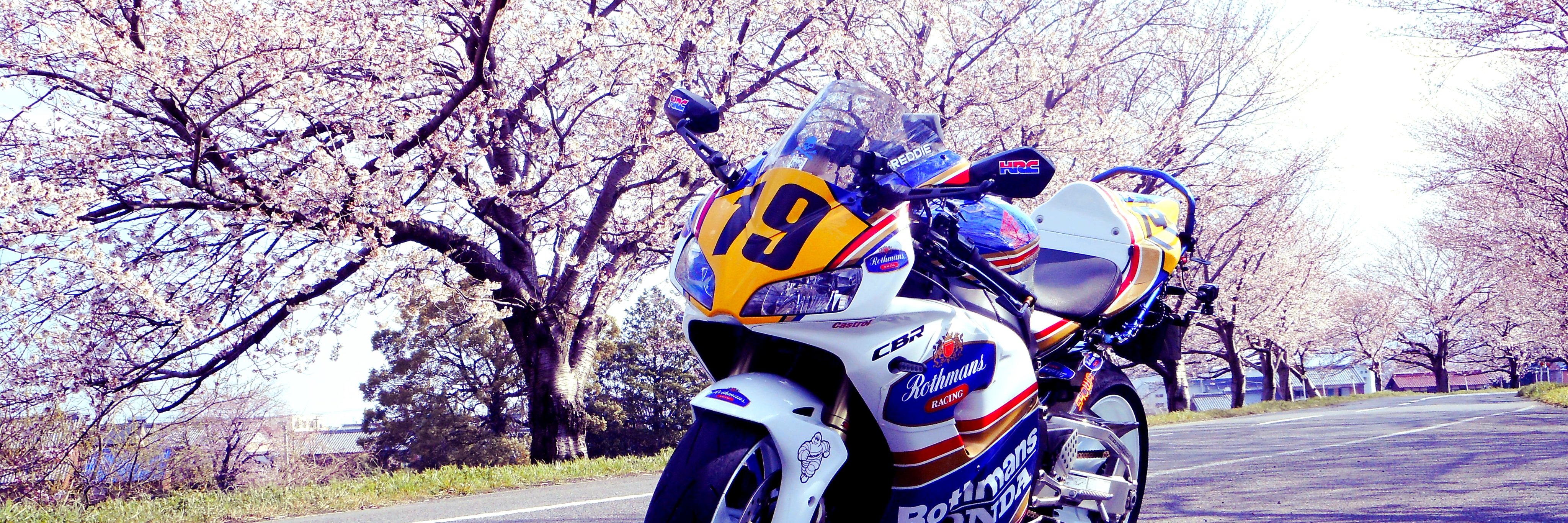 BASARA0511's profile banner image