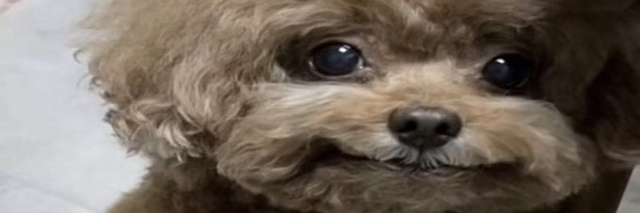 AlphonsoSpencer's profile banner image