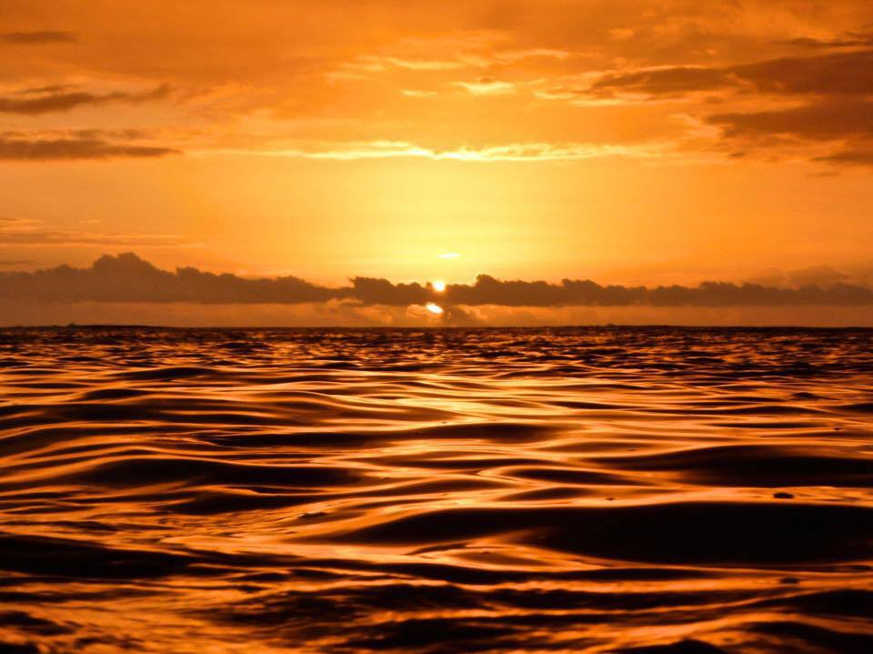 jarrodfaber's profile banner image