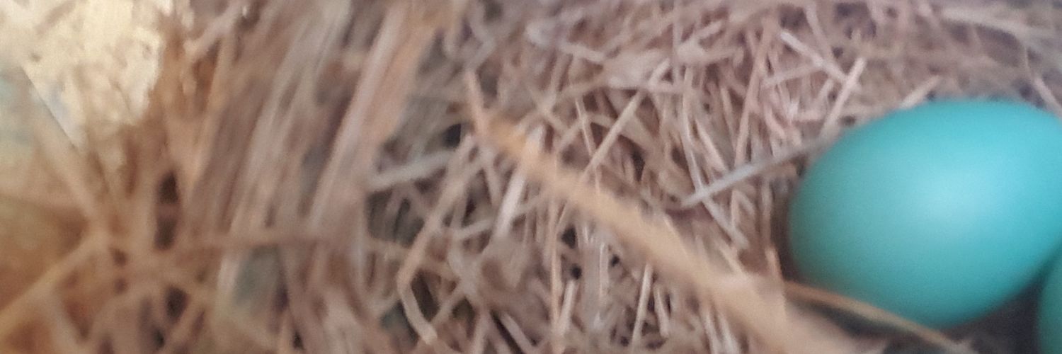 Allenemcc's profile banner image