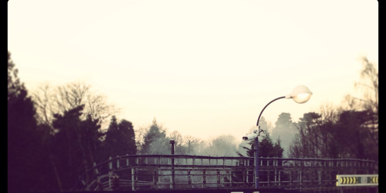 SarahMBlowers banner