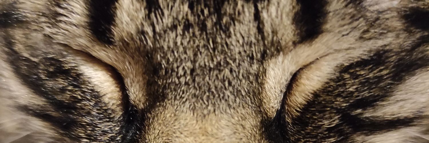 MariFrancos's profile banner image