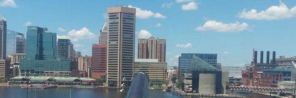 Baltimore_Reasons banner