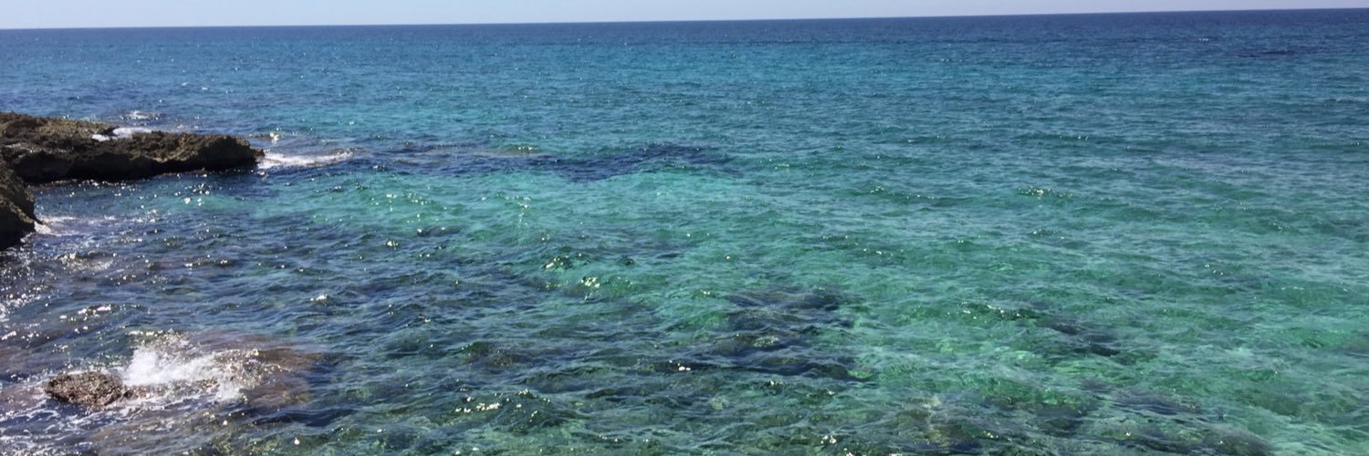 Sergio Príncipe banner