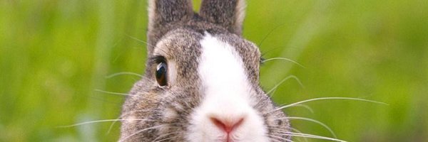 fluxrobotics Profile Banner