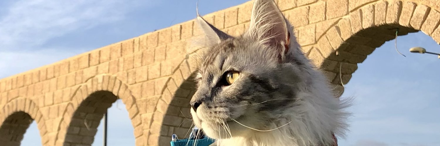 SatoshiTetsi's profile banner image