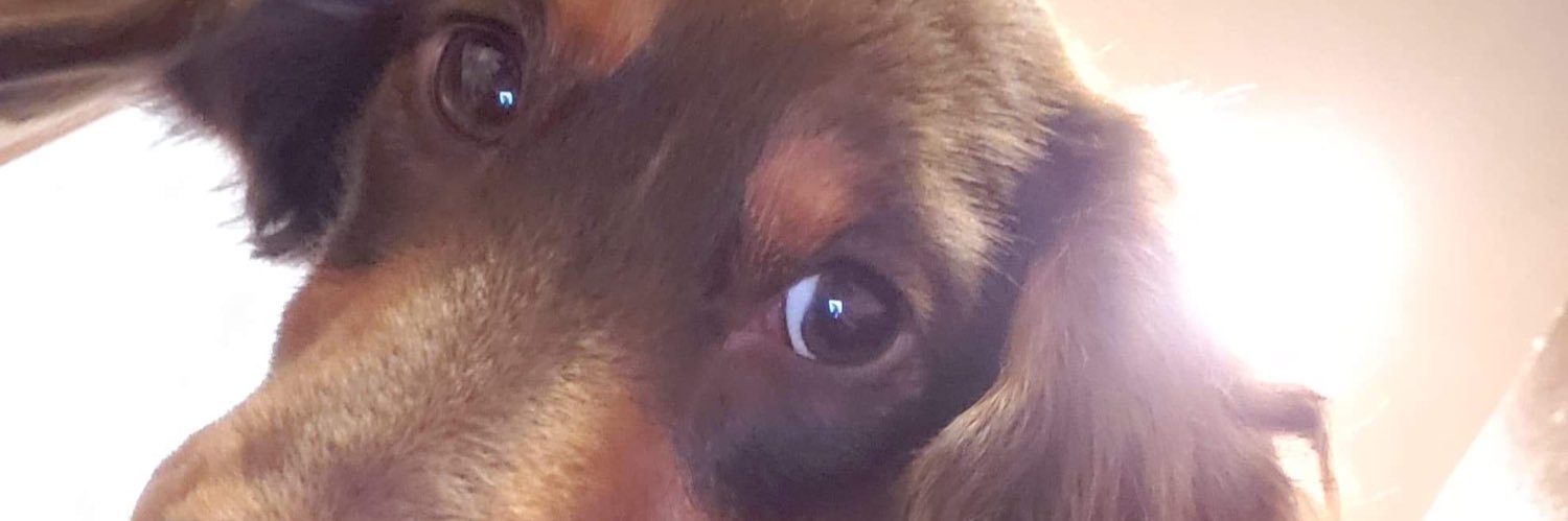 PAWalker03's profile banner image