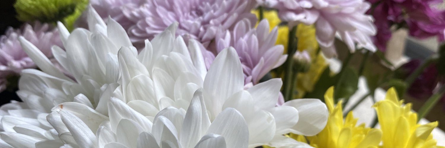 Don Buss-Buss banner