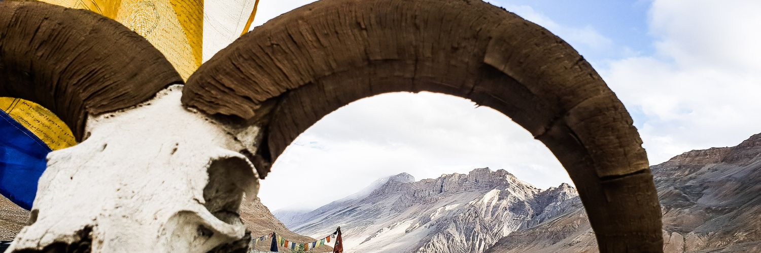 ankitdv388's profile banner image