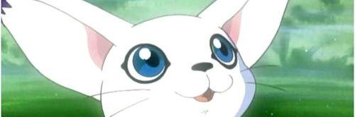 atrapaito's profile banner image
