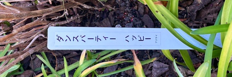 norimon96's profile banner image
