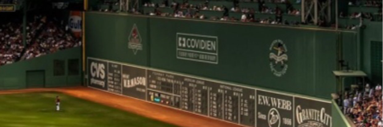 King in the North banner