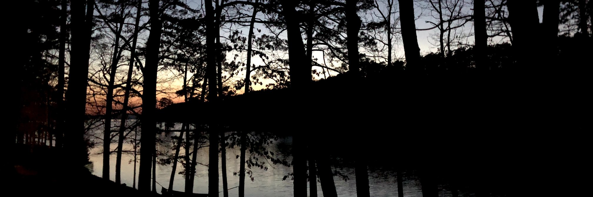 g_privi's profile banner image